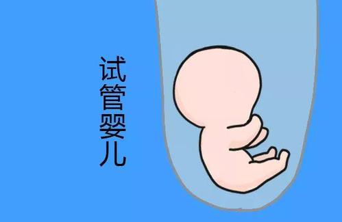 胚胎实验室